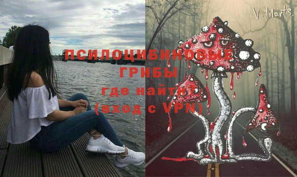 твердый Верхний Тагил