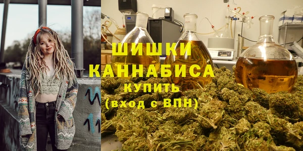 твердый Верхний Тагил