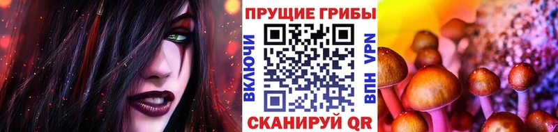 Галлюциногенные грибы GOLDEN TEACHER  Суоярви 